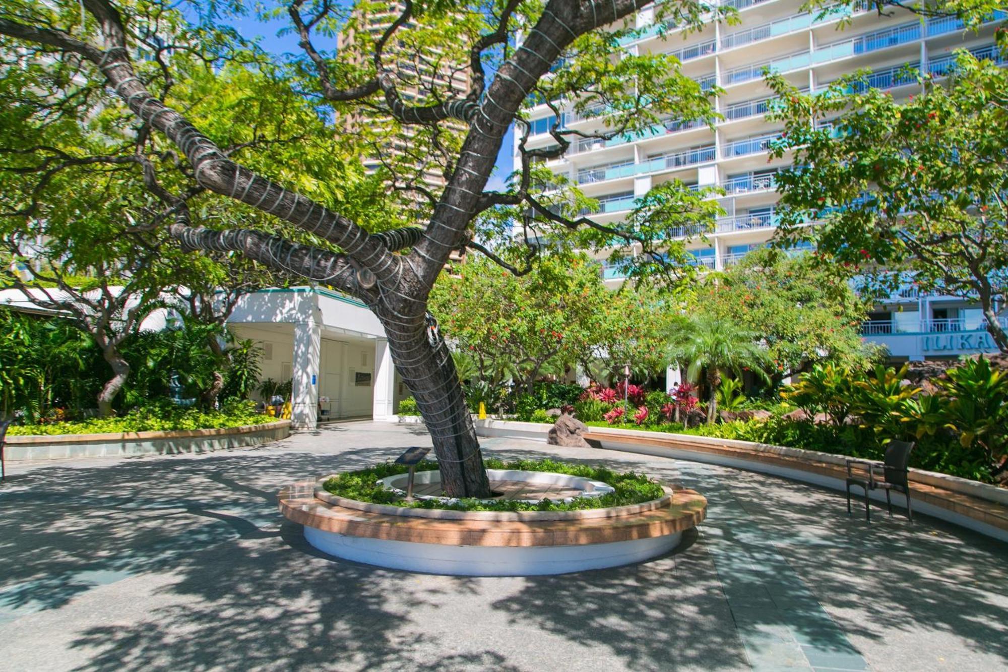 Ilikai Tower 2109 City View 2Br Honolulu Esterno foto